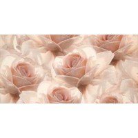 Декор Opoczno Royal Garden Inserto Flower