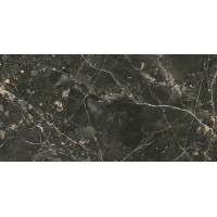 Opoczno Black Gold Polished Rect 1198x598