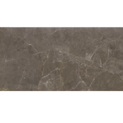 Плитка Opoczno Teneza Brown Glossy 600x297