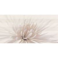 Декор Opoczno Avangarde Centro Flower