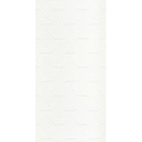 Декор Paradyz Synergy Bianco Inserto 300X600