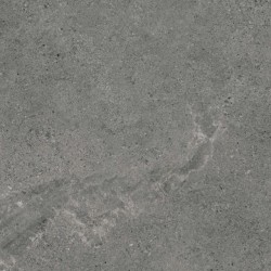 Плитка Paradyz Ceramika Authority Graphite Gres Szkl. Rekt. Mat 598x598