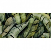 Декор Paradyz Leaf В Inserto Uniwersalne 300X600