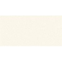 Плитка Paradyz Golden Obsession Bianco Mat 298X598