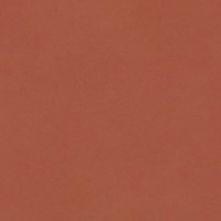 Плитка Paradyz Neve Creative Terracotta 1 198x198