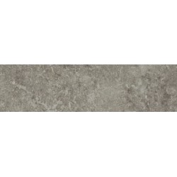 Плитка Paradyz Maxxis Brown Elewacja 245x66