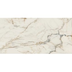 Плитка Paradyz Passion White SZKL RECT MAT 1198x598