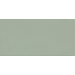 Плитка Paradyz Neve Creative Green 98x198
