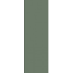 Плитка Paradyz Nightwish Green Rect 250X750