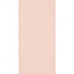 Плитка Paradyz Synergy Coral 30X60 300X600