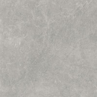 Плитка Paradyz Ceramika U118 Grey Gres Szkl. Rekt. Polpoler 598x598