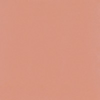Плитка Paradyz Neve Creative Blush 198x198