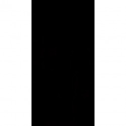Плитка Paradyz Synergy Nero 30X60 300X600