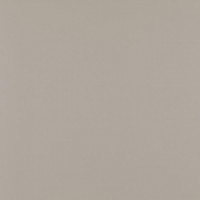 Плитка Paradyz Modernizm Grys Gres Rect. Mat. 598X598