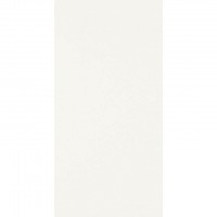 Плитка Paradyz Synergy Bianco 300X600