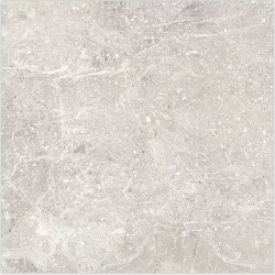 Porcelanosa Noir Caliza 596X596