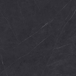 Liem Black L 596x596