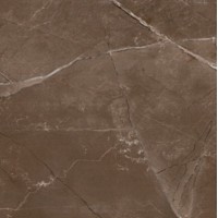 Плитка Prissmacer Pulpis Moka 608x608