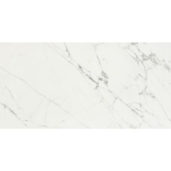 Плитка Ragno R8SE Incanto Statuario Venato 600x1200