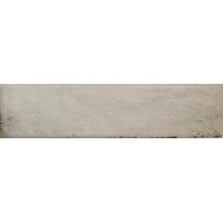 Плитка Ragno R06L Eden Fango 70x280
