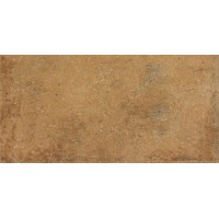 Плитка Rako Siena Darpp664 Brown