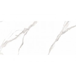 Плитка Raviraj Arona Statuario Pol 600x1200