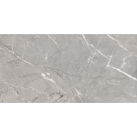Плитка Saloni Toscana Gris lux 1200x600
