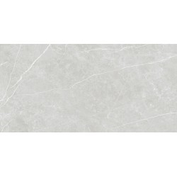 Плитка Tau Elite Silver Matt Rec 1200x600