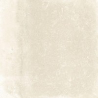 Плитка Tau Ceramica Terracina White 22,3*22,3