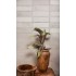 Плитка Tau Ceramica Smeaton White 25*75