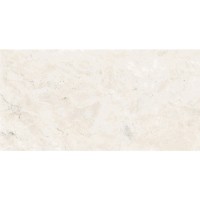 Плитка Tau Ceramica Mus.Pewter White 1200x600
