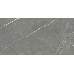 Плитка Tau Elite Graphite Matt Rec 1200x600