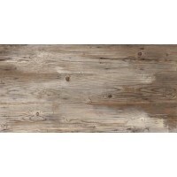 Плитка Zeus Ceramica x94Lv6R Brown 450x900x20