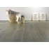 Ламінат Beauty Floor 410W Sapphire Дуб Альпи 192x1286x8