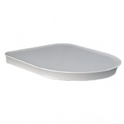 Сидіння для унітазу Rak Ceramics Valet VALSC3901500