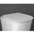 Сидіння для унітазу Rak Ceramics Valet VALSC3901WH